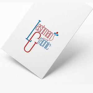 graphic-desing-logo-by-eagledesingers-hr